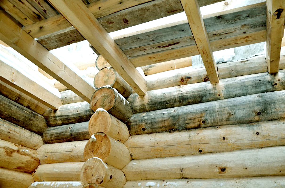 Защита деревянных домов от плесени и грибка